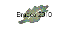 Bracco 2010